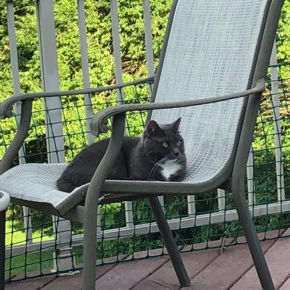 Fiona, My Posh Helper - Picture 5 of 10